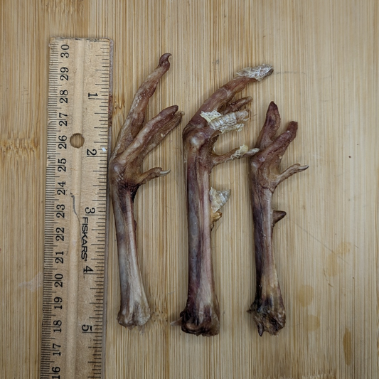 Three Beast Feast freeze-dried Pheasant Feet next to a ruler on a wooden surface.