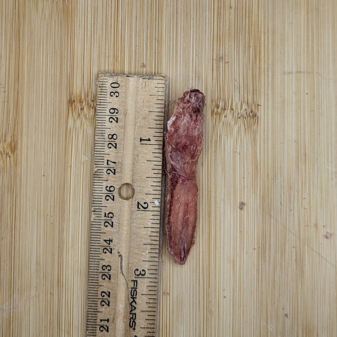 A small piece of Beast Feast Freeze-dried Duck Tongues 1oz next to a ruler.
