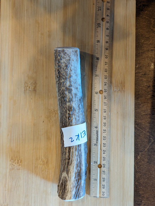 A chewable Whole Elk Antler 2 by Beast Feast, with a ruler next to it.