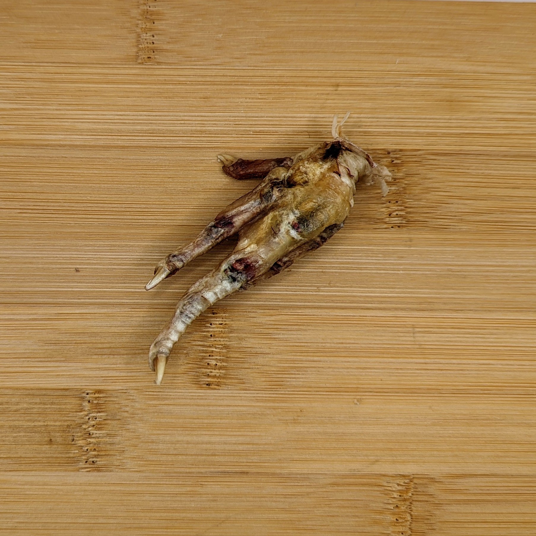 A dried, small bird carcass with visible feathers, beak, and chicken feet lying on a wooden surface. - A dehydrated Beast Feast Chicken Foot with visible feathers, beak, and chicken feet lying on a wooden surface.