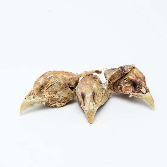 Three Beast Feast Freeze-Dried Pheasant Heads on a white background.