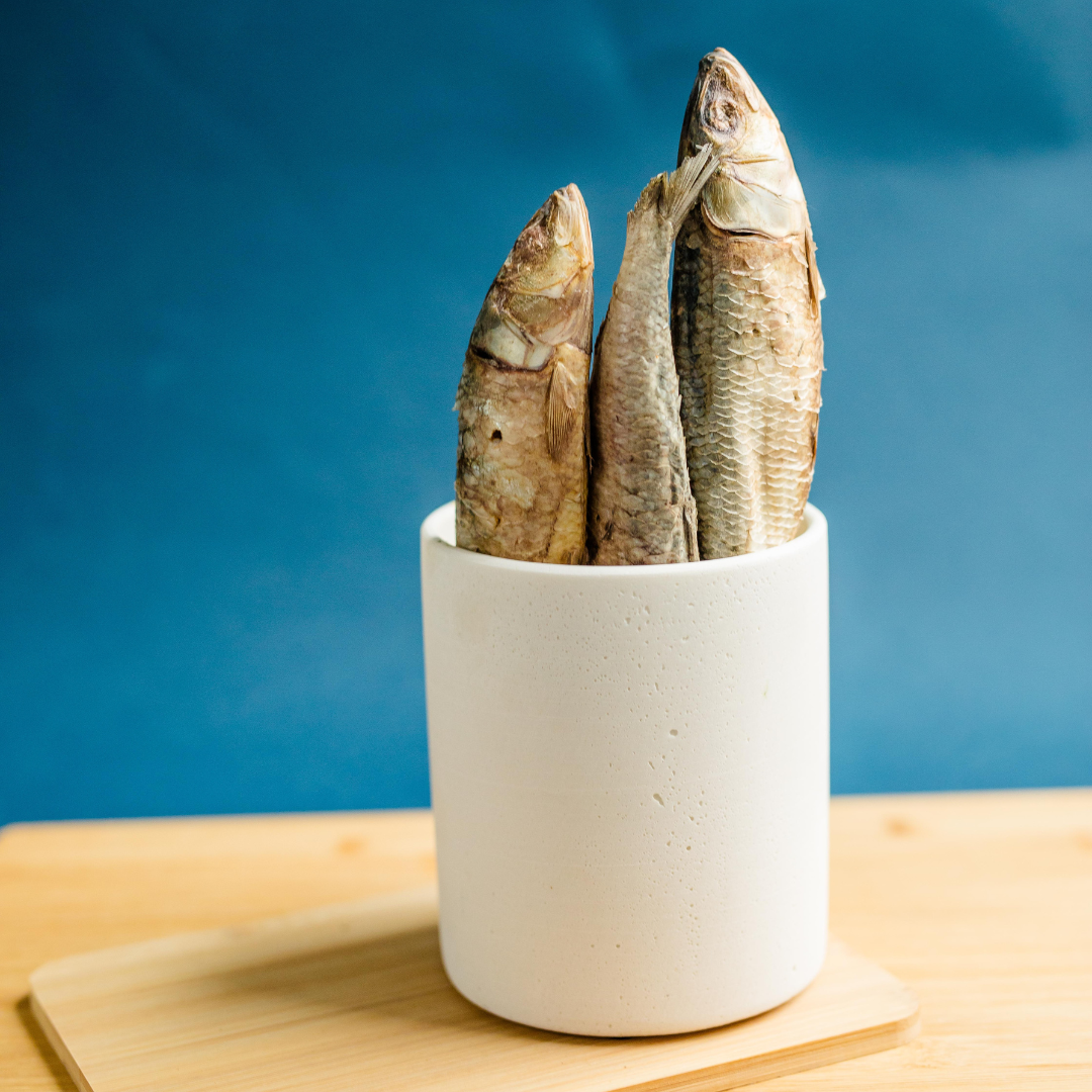 Freeze-Dried Sardines in a white cup on a wooden table packed with protein and omega-3 fatty acids from Beast Feast.