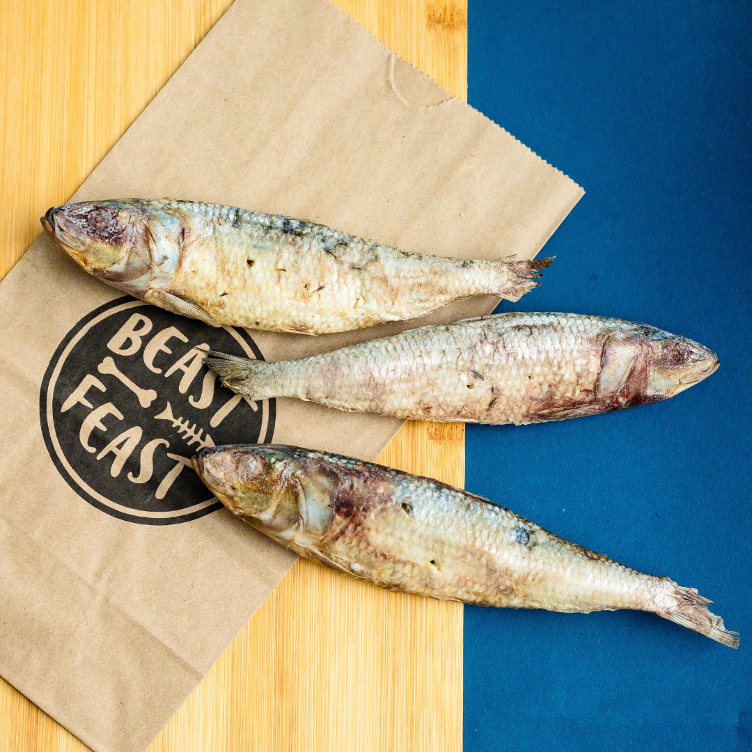 Three protein-rich Beast Feast freeze-dried sardines resting on a brown paper bag.