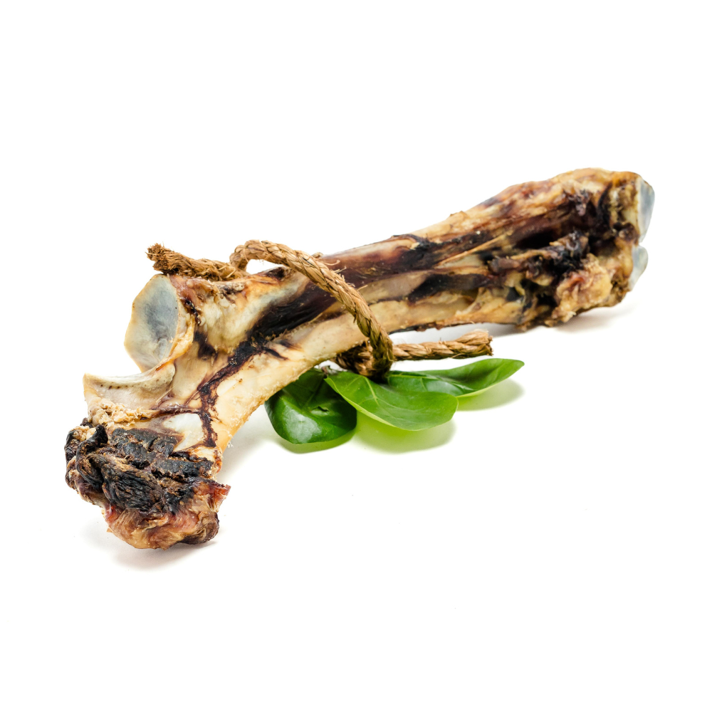 A long-lasting chew for dogs, a Smoked Bison"Dino" Bone with green leaves on a white background by Beast Feast.