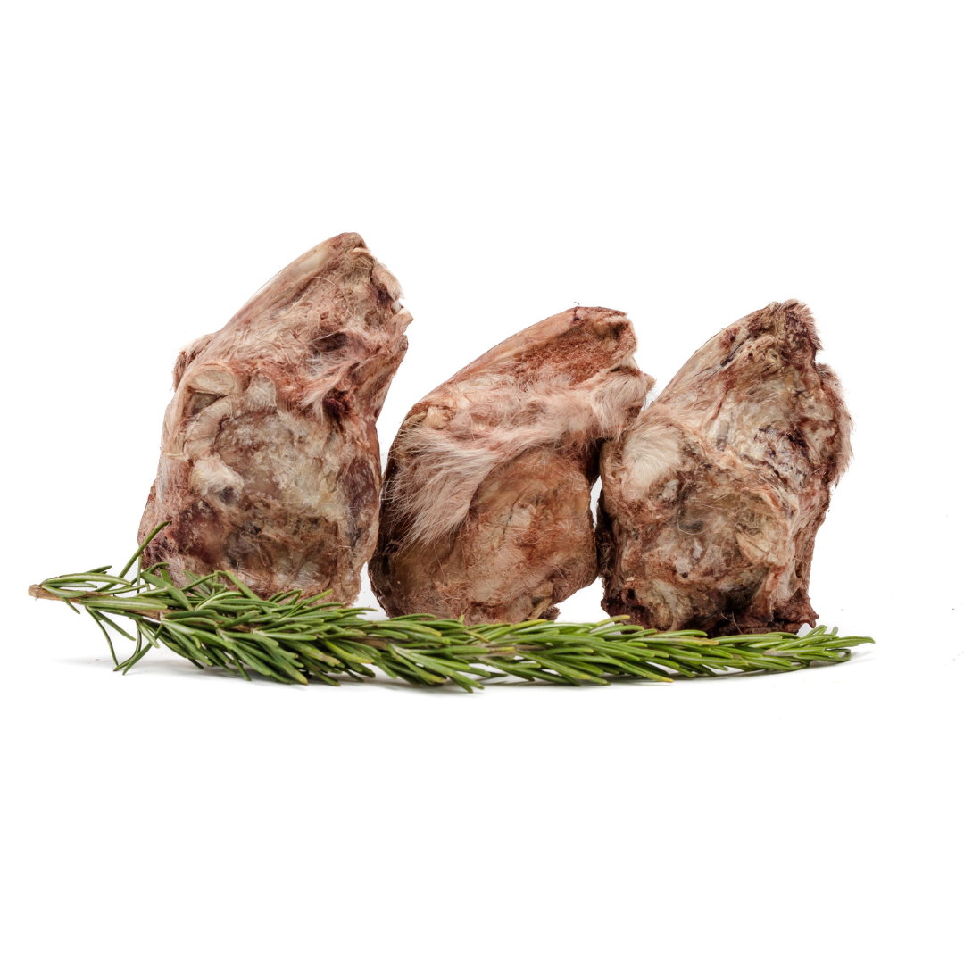Three Freeze-Dried Rabbit Heads, produced by Beast Feast, with a rosemary sprig on a white background.