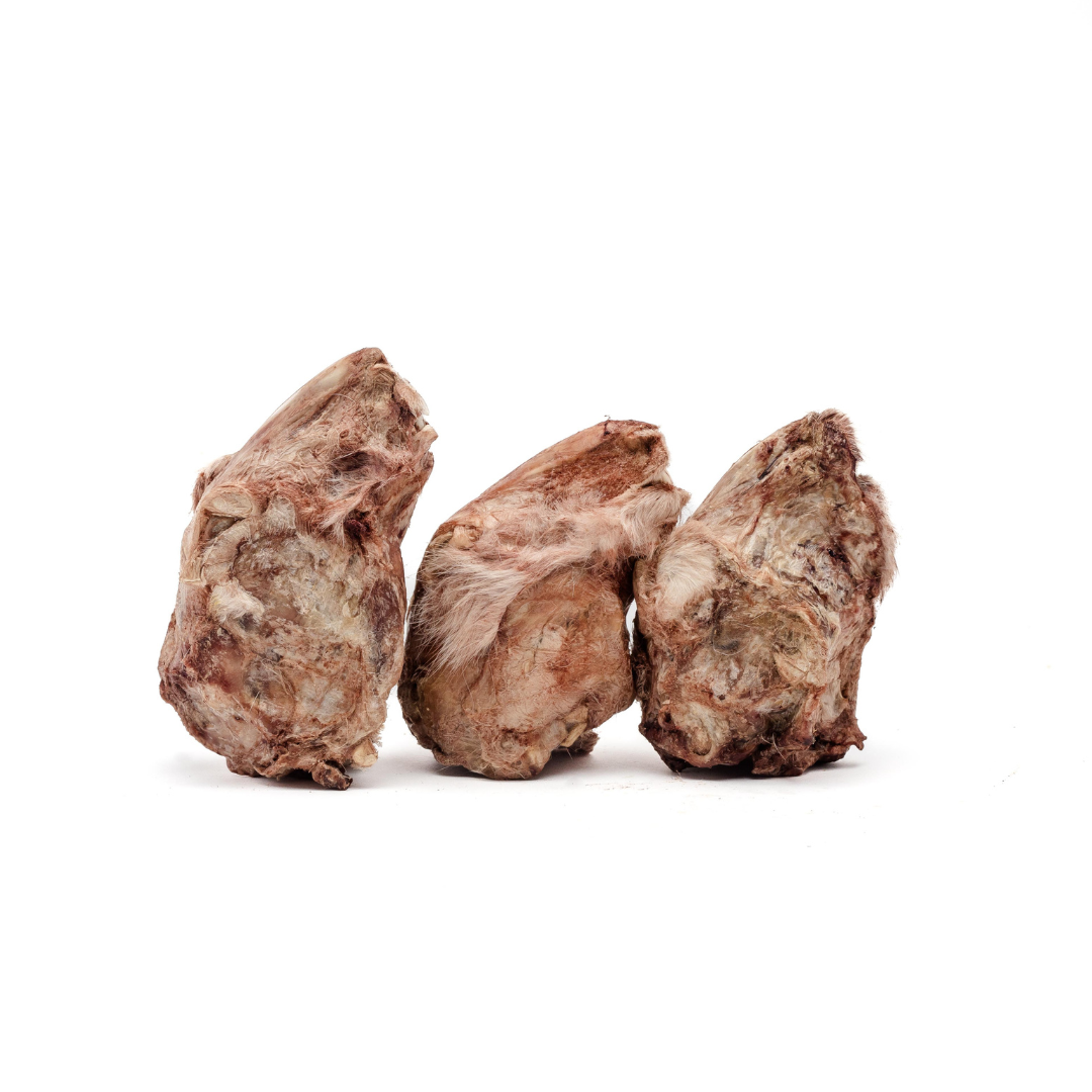 Three Freeze-Dried Rabbit Heads, a natural treat for cats and dogs, on a white background.