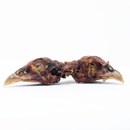 Two Beast Feast Dehydrated Pheasant Heads on a white background.