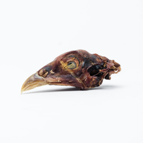 A Beast Feast dehydrated pheasant head on a white background.