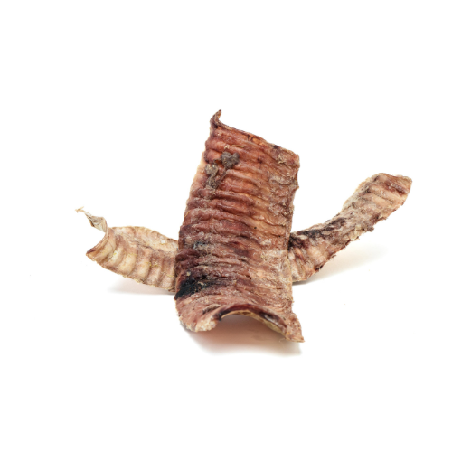A piece of Beast Feast Freeze-Dried Bison Trachea Split on a white background.